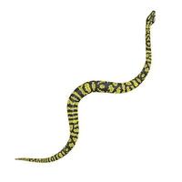 illustration 3d de python de tapis de jungle de zèbre. photo