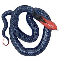 illustration 3d de serpent de corail bleu. photo