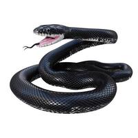 illustration 3d de serpent de rat noir. photo