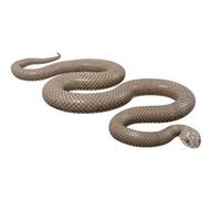 illustration 3d de serpent brun oriental. photo