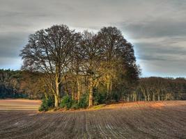 randonnée près de reken dans le muensterland allemand photo