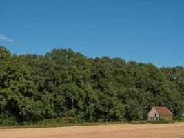 arbres en westphalie photo