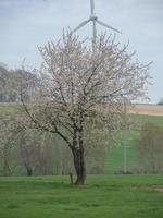 le petit village de darup en allemagne photo