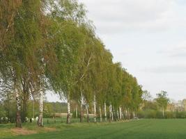 le printemps à weseke allemagne photo