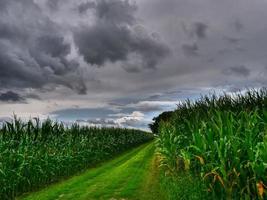 l'heure d'été au village allemand weseke photo