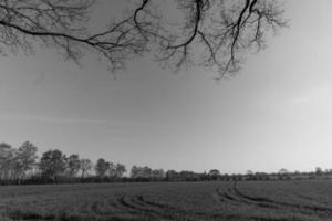 été en westphalie photo