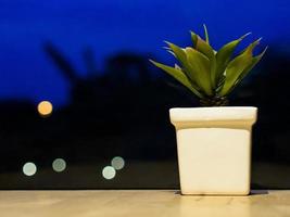beau cactus vert frais dans un pot blanc sur une table en bois, un fond d'ambiance romantique photo