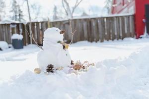 joyeux noël et bonne année carte de voeux avec copie-espace.beaucoup de bonhommes de neige debout dans le paysage de noël d'hiver.fond d'hiver.bonhomme de neige avec fleur sèche et pin. joyeuses fêtes et fêtes. photo