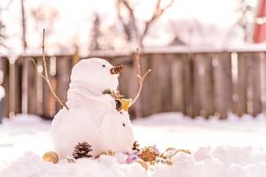 joyeux noël et bonne année carte de voeux avec copie-espace.beaucoup de bonhommes de neige debout dans le paysage de noël d'hiver.fond d'hiver.bonhomme de neige avec fleur sèche et pin. joyeuses fêtes et fêtes. photo