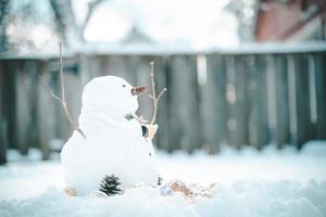 joyeux noël et bonne année carte de voeux avec copie-espace.beaucoup de bonhommes de neige debout dans le paysage de noël d'hiver.fond d'hiver.bonhomme de neige avec fleur sèche et pin. joyeuses fêtes et fêtes. photo