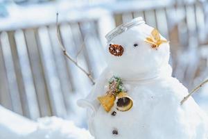 joyeux noël et bonne année carte de voeux avec copie-espace.beaucoup de bonhommes de neige debout dans le paysage de noël d'hiver.fond d'hiver.bonhomme de neige avec fleur sèche et pin. joyeuses fêtes et fêtes. photo