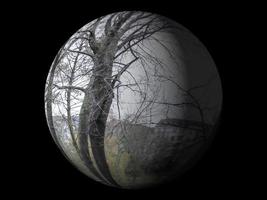 fond de cercle d'arbres d'illustration numérique photo