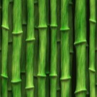 le matériau de construction en bambou vert pousse étroitement verticalement vers le haut