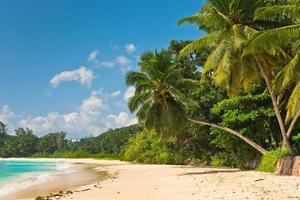 plage tropicale à l'île de mahe seychelles photo