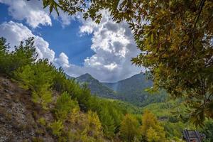 arbres colorés et paysage d'automne dans la forêt profonde. les couleurs d'automne dans la forêt créent une vue magnifique. vue d'automne dans la nature photo