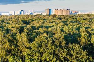couronnes d'arbres verts et ville à l'horizon en été photo