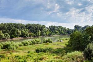 pré vert le long de la rivière kuban en été photo