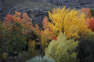 Exposition colorée d'arbres en automne à Albarracin, Espagne photo