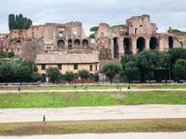 domus severiana et circus maximus sur palatin photo