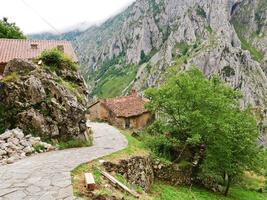 village dans le parc national de montagne picos de europa photo