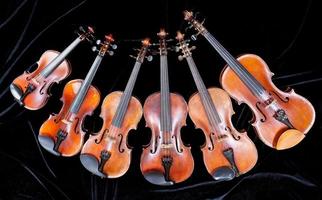 famille de violons de tailles différentes sur fond noir photo