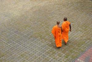 moines bouddhistes