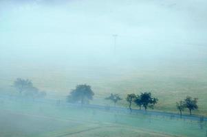 arbres dans le brouillard photo