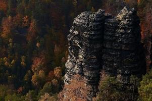 haute falaise dans la forêt photo