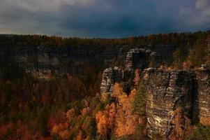 haute falaise dans la forêt photo