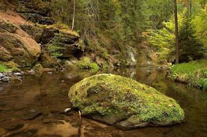 rivière avec des pierres photo