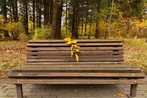 une idylle d'automne, un banc de parc solitaire attend les visiteurs. photo