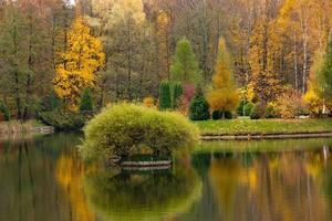 reflets lacustres du feuillage d'automne. le feuillage d'automne coloré se reflète dans les eaux calmes du lac européen. photo