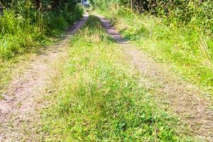 pistes de route de campagne avec de l'herbe verte dans la forêt photo