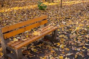 une idylle d'automne, un banc de parc solitaire attend les visiteurs. photo