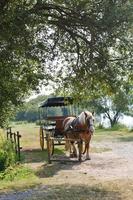 cheval avec calèche dans le village photo