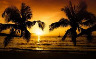 palmier sur la plage pendant le coucher du soleil d'une belle plage tropicale photo