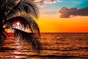palmier tropical silhouette avec lumière du soleil sur fond de ciel magnifique coucher de soleil photo