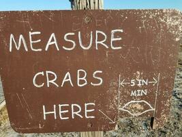 mesurer les crabes ici signer avec cinq pouces minimum photo