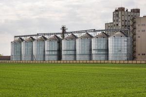 Élévateur à greniers agro-silos sur une usine de fabrication agro-industrielle pour le traitement, le nettoyage à sec et le stockage de produits agricoles, de farine, de céréales et de grains. photo