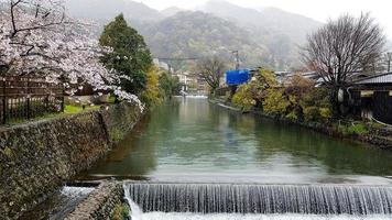 belles fleurs de cerisier au bord de hozu, qui se trouve au pied des montagnes arashiyama. avec une petite cascade qui coule. photo