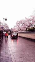 kyoto, japon le 8 avril 2019. les gens marchent en utilisant des parapluies parce qu'il pleut. photo
