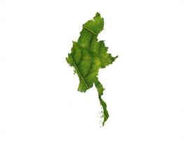 carte du myanmar faite de feuilles vertes sur le concept d'écologie de fond blanc photo
