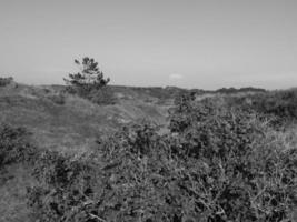 l'île de Spiekeroog photo