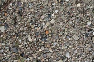 vue rapprochée détaillée sur les cailloux et les pierres sur une texture de sol en gravier photo