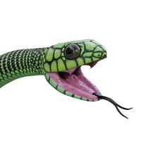 illustration 3d de serpent boomslang photo