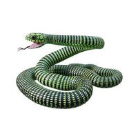 illustration 3d de serpent boomslang photo