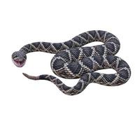 illustration 3d de serpent à sonnettes à dos de diamant de l'est photo