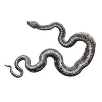illustration 3d de python de roche sud-africain photo