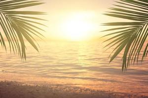 palmier tropical et coucher de soleil sur la mer photo