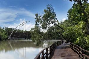 Passerelle de pont en bois rouge menant tout droit hors de la forêt de mangrove. les feuilles et les branches couvrent une ombre dense avec une vallée fluviale et un bâtiment en ivoire. à phra chedi klang nam, pak nam, rayong, thaïlande. photo